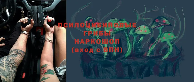 магазин    Карачев  Псилоцибиновые грибы Psilocybe 